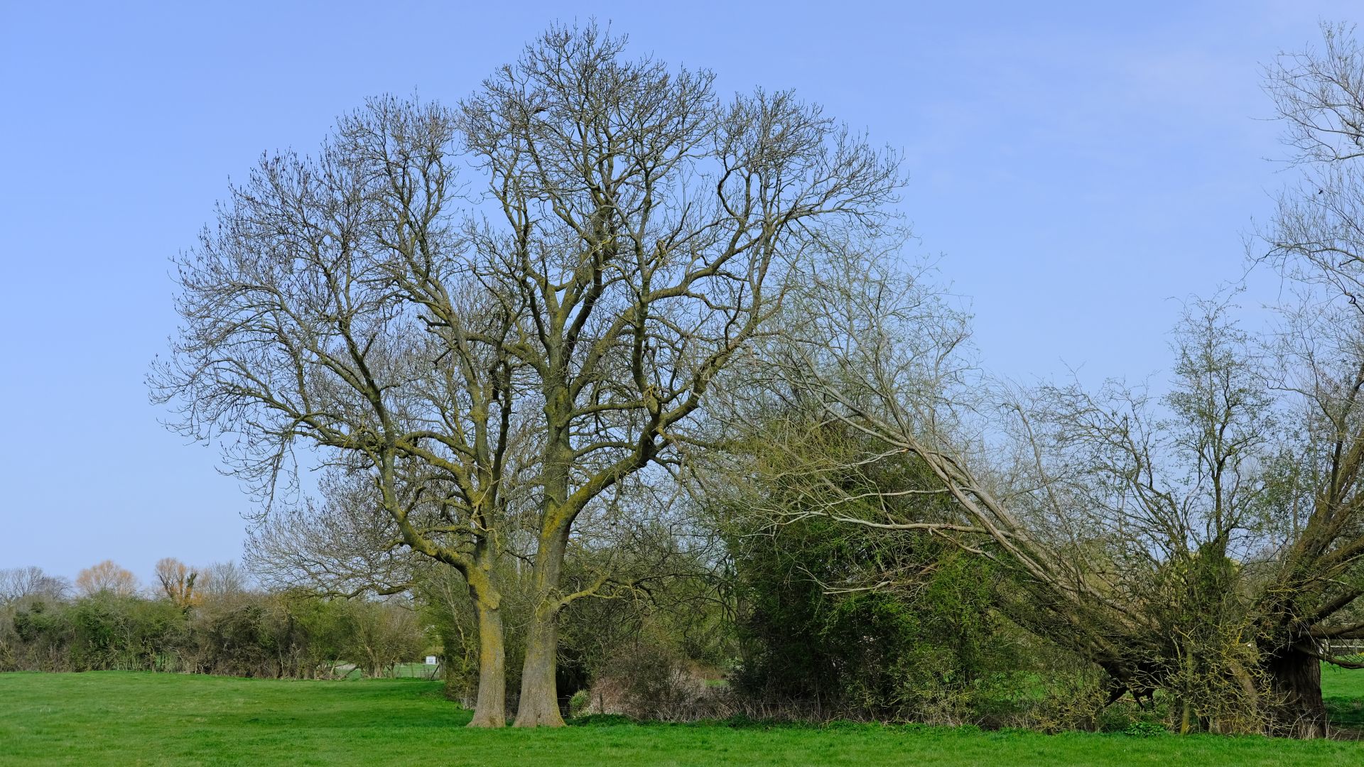 Walking near Wickhamford
